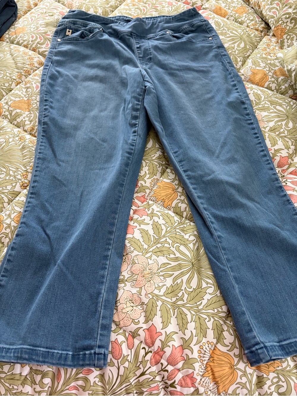 Belle by Kim Gravel Blue Cropped pull-on Jeans